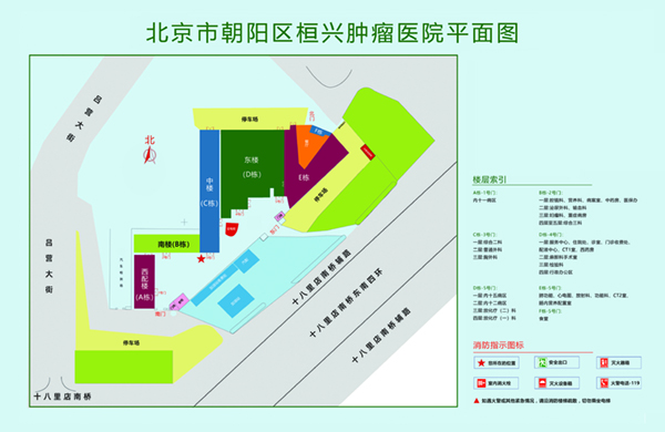 黄色肏水逼视频北京市朝阳区桓兴肿瘤医院平面图